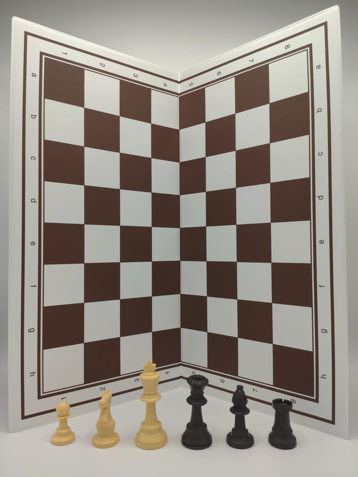 Complete schaakset voor beginners