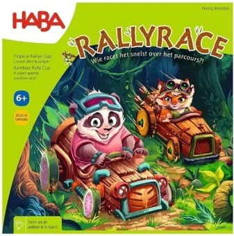Rally Race
