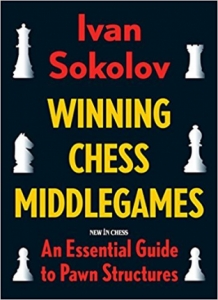 images/productimages/small/winningchessmiddlegamesnew.jpg
