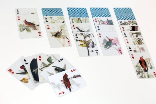 3D Bird Playing Cards