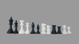 Plastic white/black chess pieces