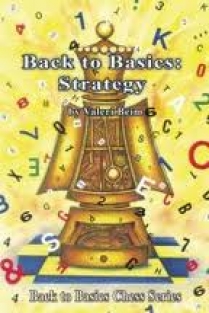 Back to basics: Strategy, Valeri Beim