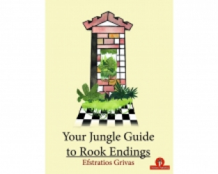 Your Jungle Guide to Rook Endings
