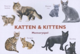 Memory: katten