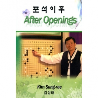 Z36 After Openings, Kim Sungrae
