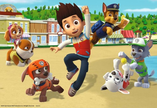 Paw Patrol puzzel 4+  dappere honden