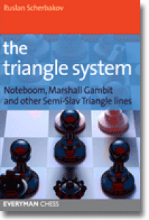 The triangle system, Ruslan Scherbakov